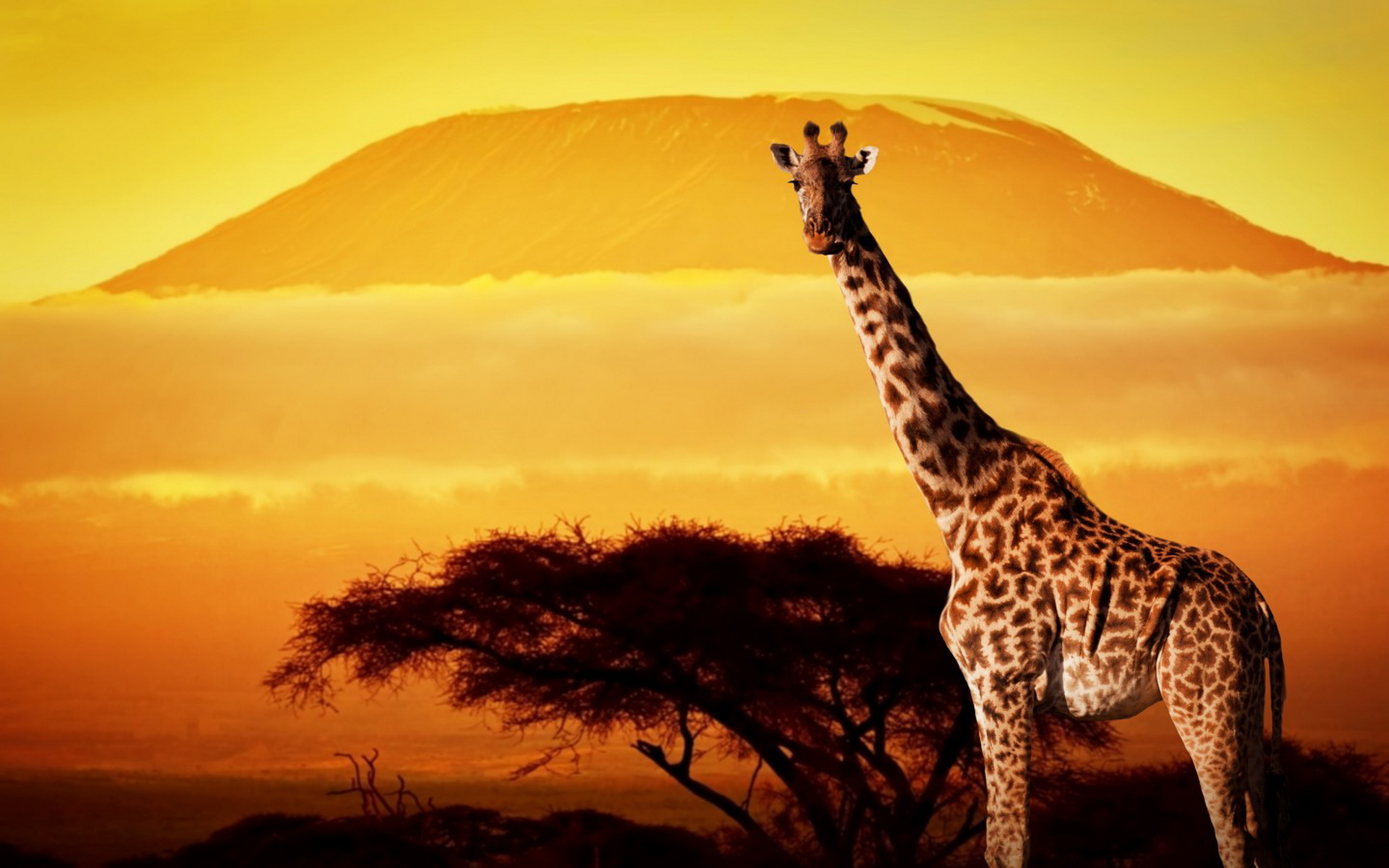 Kenya Travel Guide — Best Places To Visit, Safaris & How To Plan Your Trip